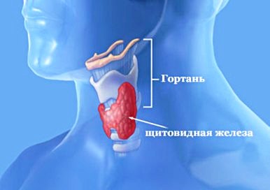 какой врач лечит от глистов и паразитов какой врач лечит от глистов и паразитов