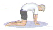 dis4_10595 dis4_10595